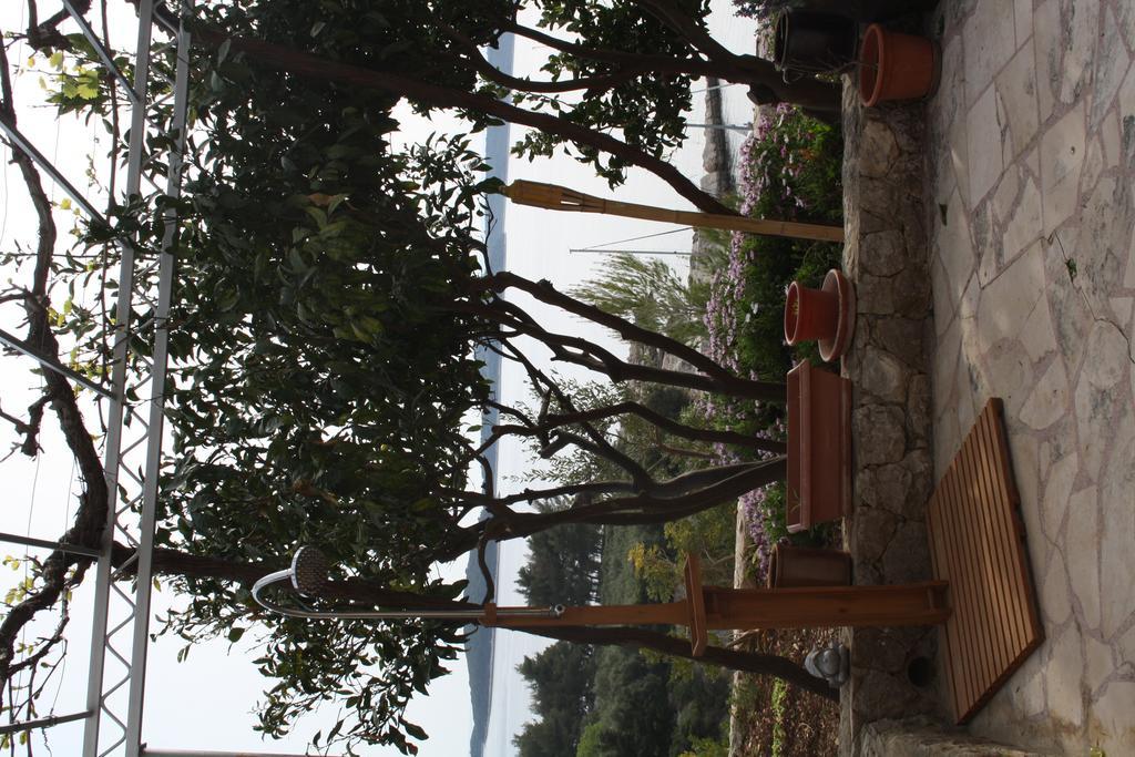 Villa Marijam Hvar Town Exteriér fotografie